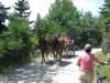 img_3251_small.jpg