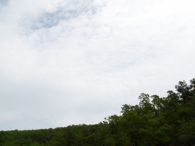 pict2691.jpg