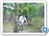 Rafita 'appropriating' a banana flower