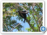 IMG_0310a