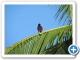 IMG_0507