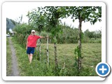 The fence posts are live trees