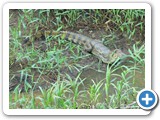 IMG_0582a