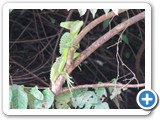 IMG_0815a