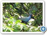 IMG_0822a