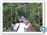Hanging Bridges
