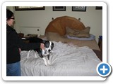At home with Bob