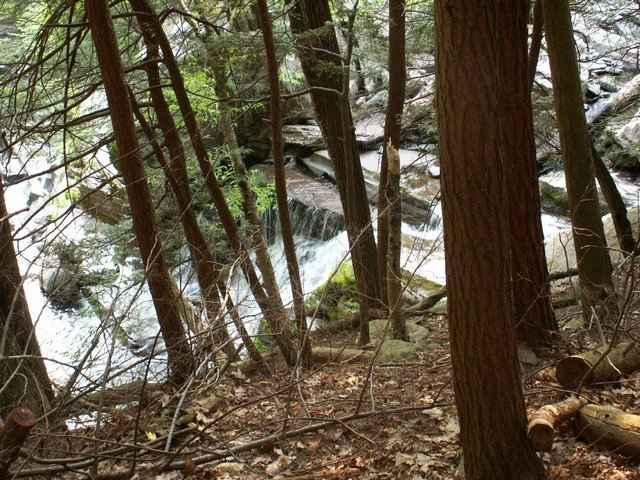 pict2775.jpg