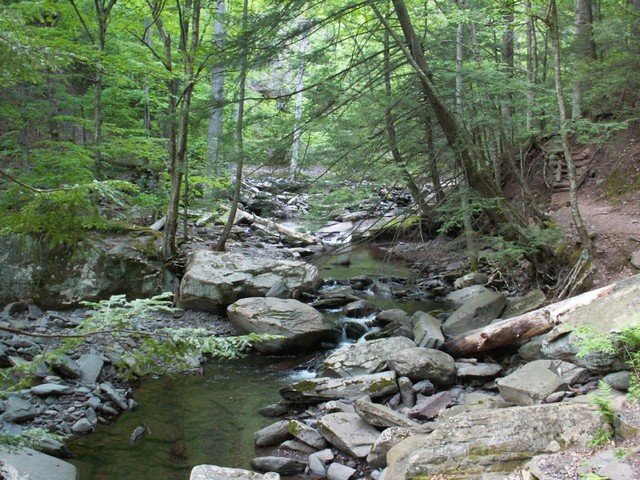 pict2781.jpg