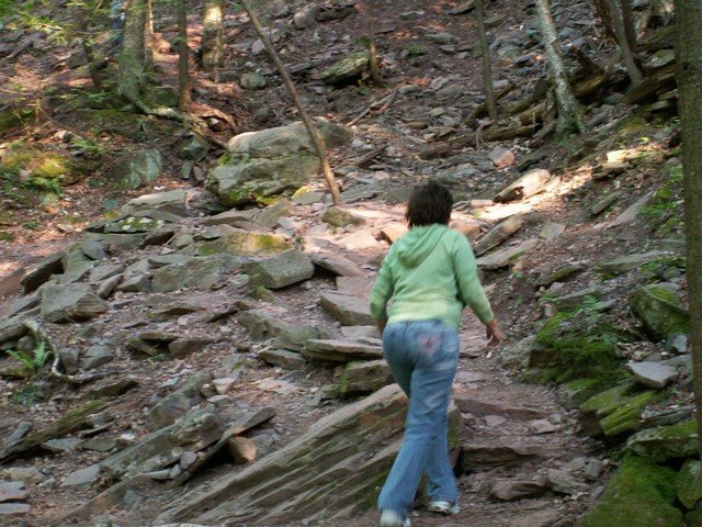 pict2784.jpg