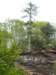 pict2802_small.jpg