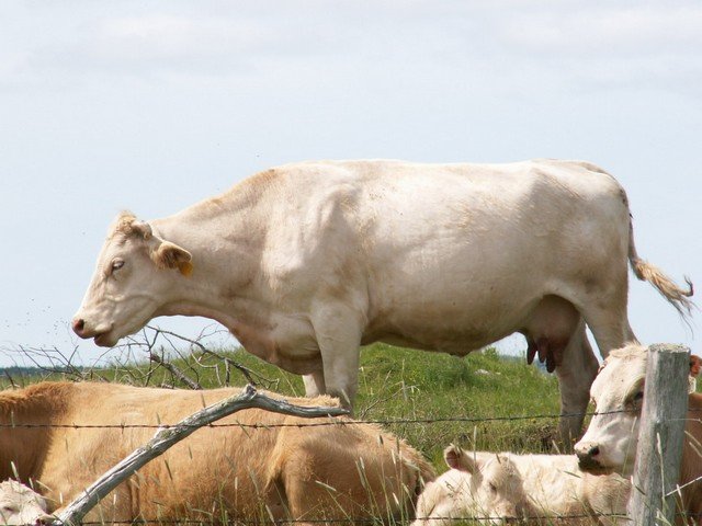 pict3306.jpg
