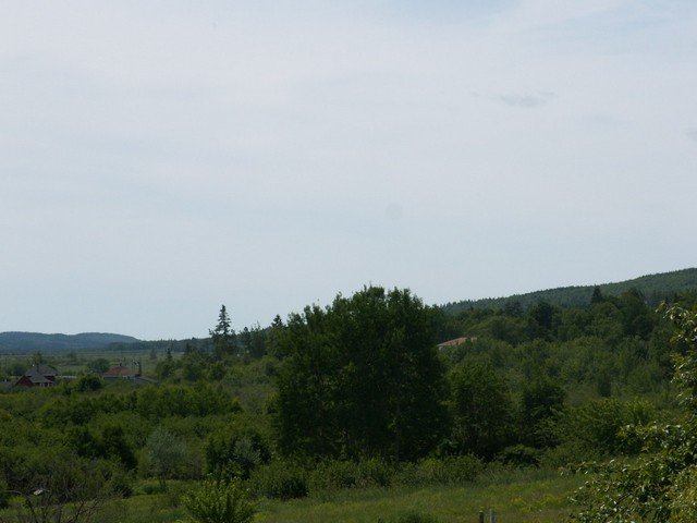 pict3321.jpg