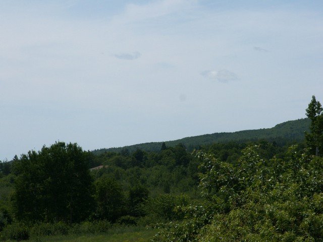 pict3322.jpg