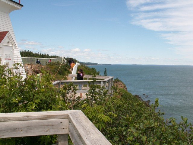 pict3347.jpg