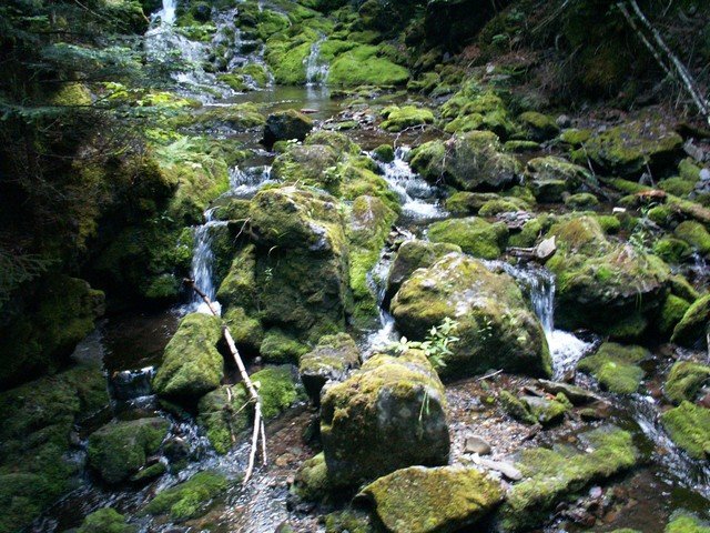 pict3370.jpg