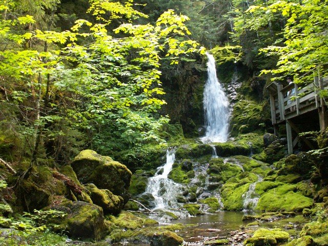 pict3373.jpg