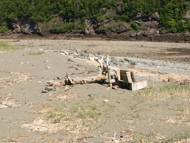 pict3386.jpg