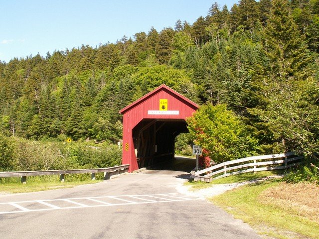 pict3388.jpg