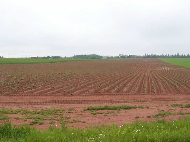 pict3234.jpg