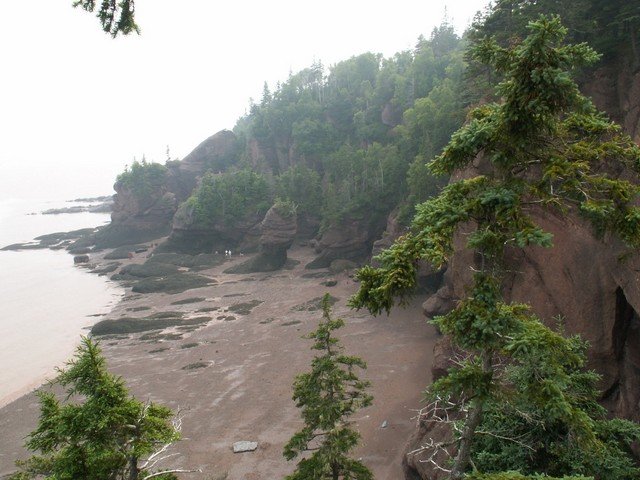 pict3238.jpg