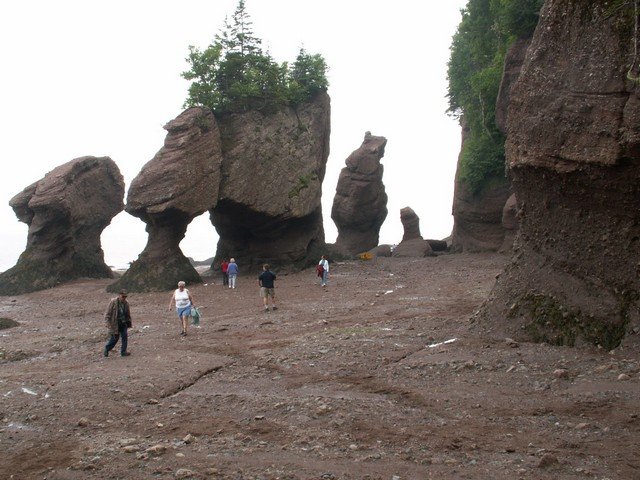 pict3253.jpg