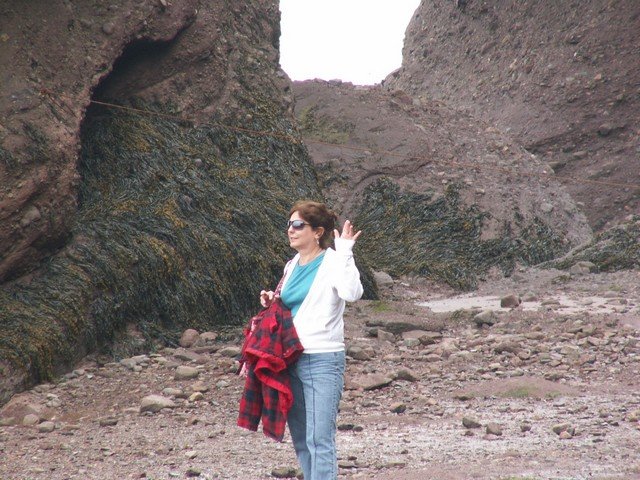pict3255.jpg