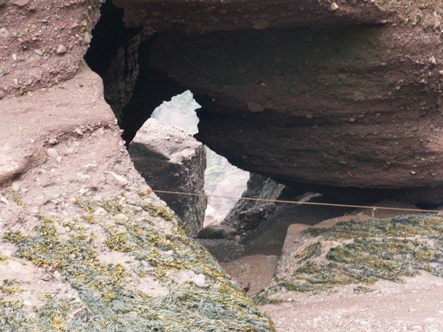 pict3262.jpg