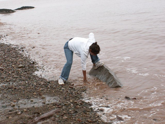 pict3275.jpg