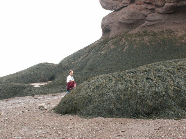 pict3278.jpg