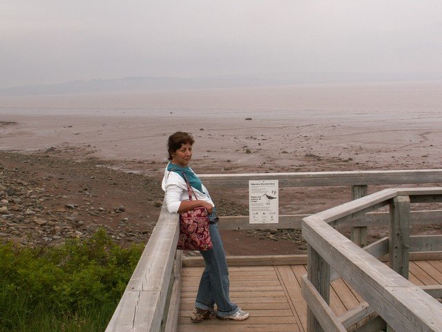 pict3302.jpg