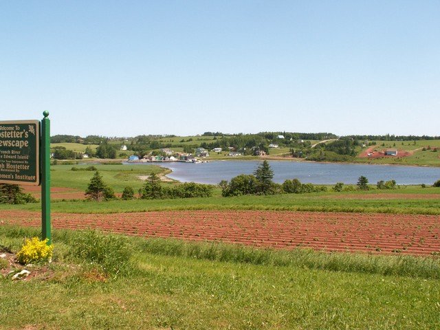 pict3061.jpg