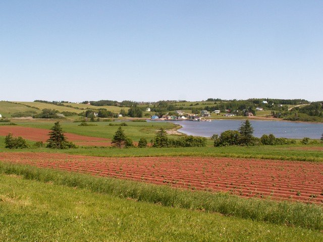 pict3064.jpg