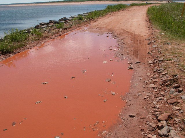 pict3080.jpg
