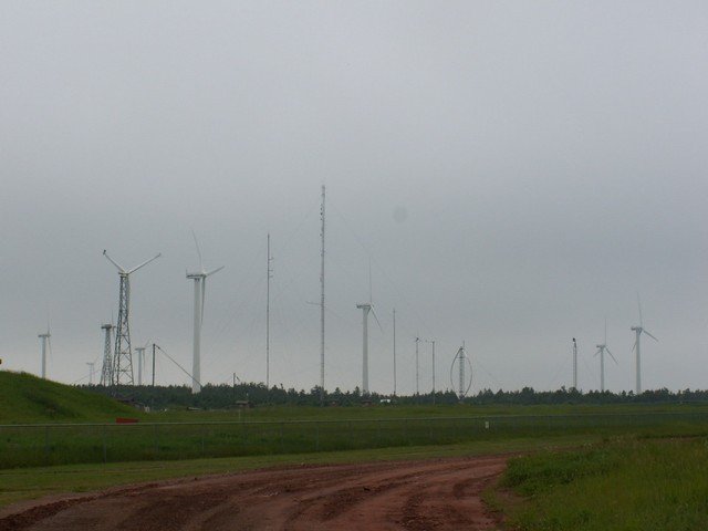 pict3131.jpg