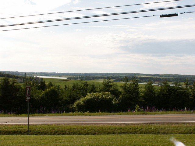 pict3204.jpg