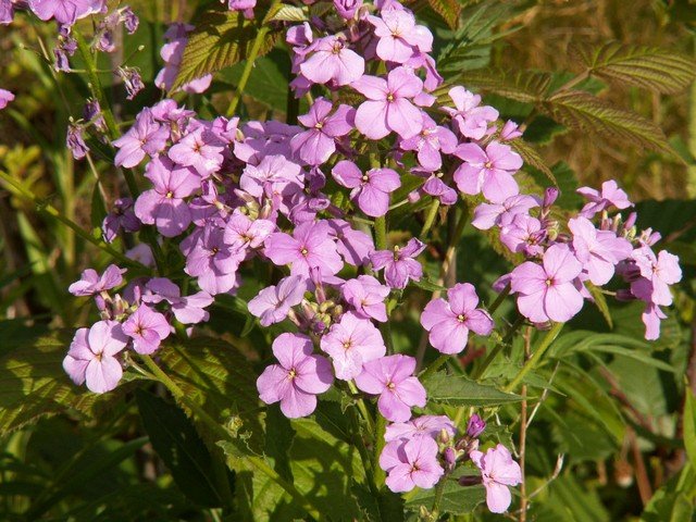pict3408.jpg