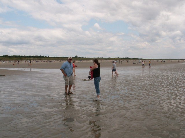 pict2990.jpg