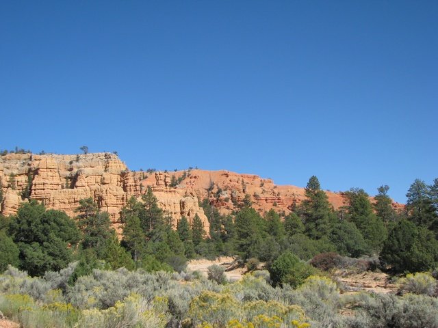 img_4364.jpg