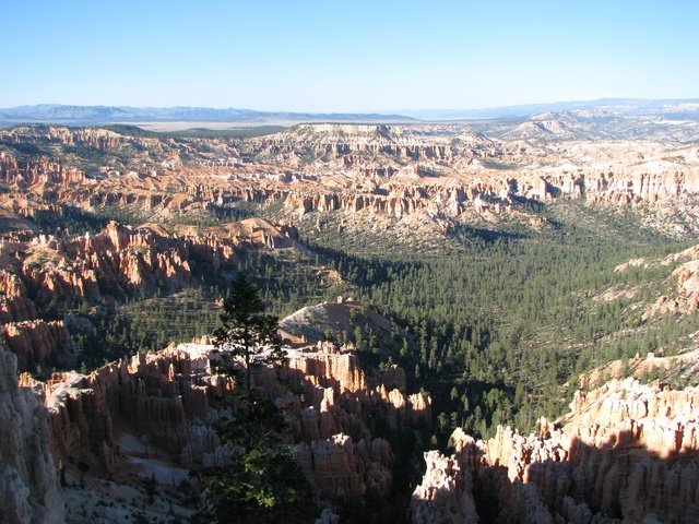 img_4370.jpg