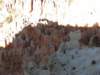 img_4378_small.jpg
