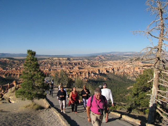 img_4384.jpg