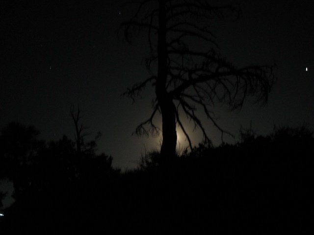 img_4435.jpg