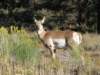 img_4445_small.jpg