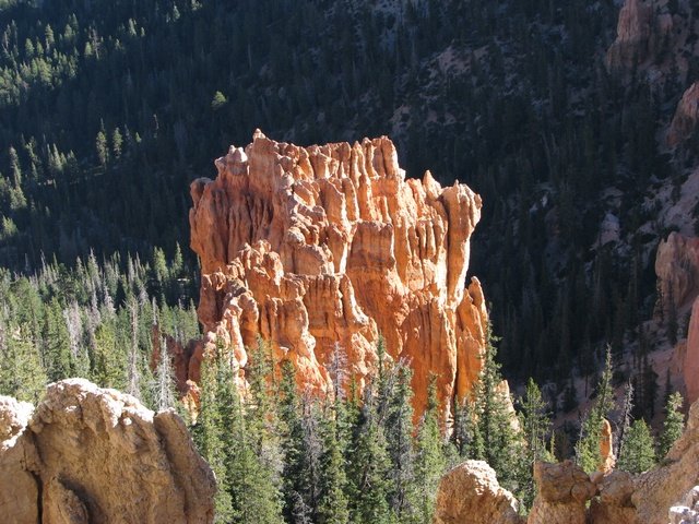 img_4456.jpg