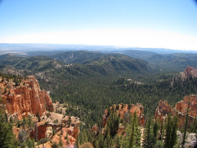 img_4515.jpg