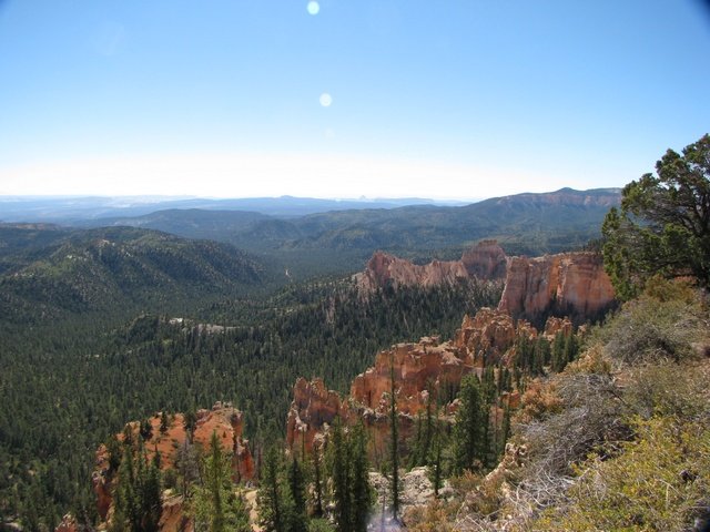 img_4516.jpg