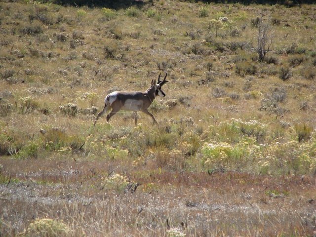 img_4522.jpg