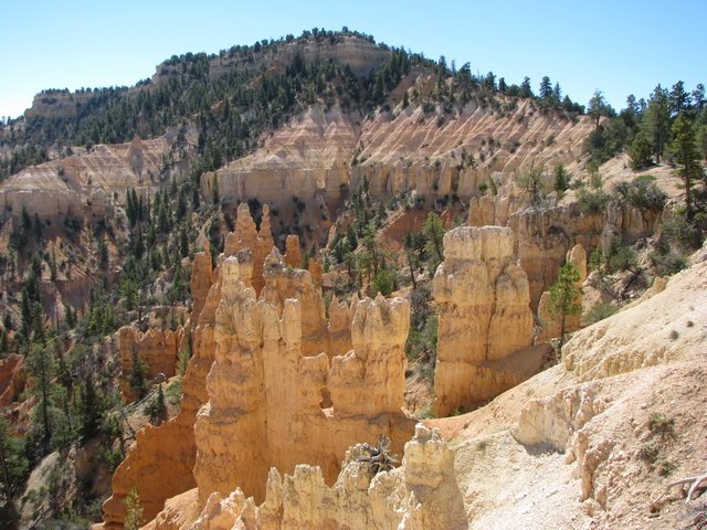 img_4530.jpg