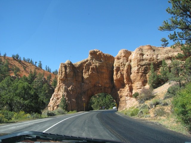 img_4546.jpg